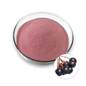 Polvo de extracto de bayas de Aronia de alta calidad, polvo de chokeberry, polvo de Aronia - Product Image 2