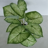 Plante artificielle Pothos, Syngonium, Tannia, Arrowleaf, Oreille d'éléphant, Feuille de Taro, Bonsaï artificiel 50cm pour Table, Mariage, Noël