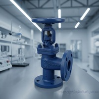 Vannes à soupape manuelles en acier moulé DIN à bon prix, type angle, haute température, pour eau, gaz, huile, applications générales, support OEM