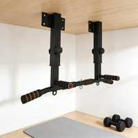 FORTUNE LAND Barre de traction murale multifonctionnelle et durable pour intérieur, ensemble d'entraînement de gym intégré, barre horizontale en acier pour usage domestique