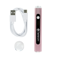 Mini Lampe UV LED Rechargeable Professionnelle Portable à Séchage Rapide avec Matériau Métallique pour Salon et Usage Domestique