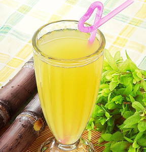 Machine industrielle électrique en acier inoxydable pour l'extraction de jus d'orange et de lait de coco, haute capacité - Product Image 2