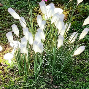 Solar Garden Grass Lamp With White Feathers IP65 Waterproof <b>LED</b> <b>Light</b> For Outdoor Garden Decor - Product Image 1