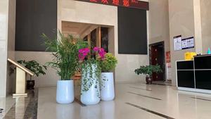 Maceta de plástico para plantas, <span class=keywords><strong>Macetas</strong></span> grandes y redondas de lujo, para jardín, exterior, interior, decoración del hogar y hotel, 2022 - Product Image 3