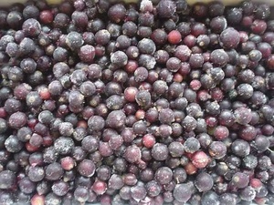 Nho đen đông lạnh iqf phong cách mới iqf quả mọng tươi đông lạnh - Product Image 2