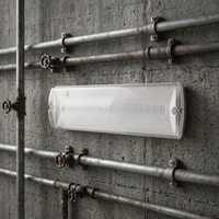 Lumière d'urgence murale 3,6W 220-240V IP65 étanche, lampe de sécurité incendie, norme européenne, encastrable et en saillie