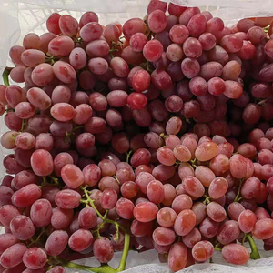 Fruits du raisin naturel en forêt, 2 pièces, égyptien doux, <span class=keywords><strong>de</strong></span> haute qualité - Product Image 4
