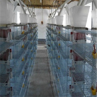 Cage à poules automatique à couches métalliques avec système d'alimentation, type de cage pour usage commercial, respirante et facile à nettoyer