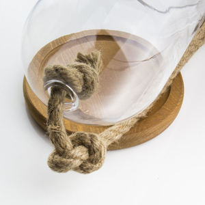 Cloche à dôme en verre transparent bon marché <span class=keywords><strong>Terrarium</strong></span> avec base en bois naturel non poli et corde décorative - Product Image 4