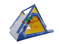 Toboggan aquatique géant gonflable personnalisé en PVC certifié CE pour parc aquatique en mer