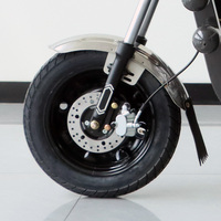 Tricycle électrique 800W, capacité de charge 300 kg, batterie au plomb-acide 60V, mini tricycle électrique de transport, petit et efficace pour le transport