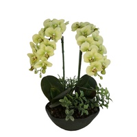 Grosir Sentuhan Nyata Buatan Tangan Bunga Anggrek Buatan, Anggrek Phalaenopsis Buatan Palsu Karton Disesuaikan Sentuhan Alami
