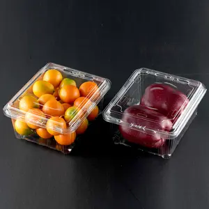 Boîte d'emballage de fruits à clapet en plastique jetables à emporter conteneurs d'emballage d'aliments frais garder vente directe du fabricant sur mesure