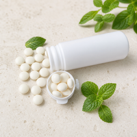 Bonbons à la menthe sans sucre au xylitol, saveur menthe glacée, fabricant OEM et ODM