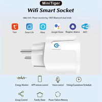Prise Intelligente WiFi Tuya avec Mesure de Charge 16A/20A, Télécommande par Application Mobile, Fiche Européenne