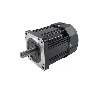 220V 400W 750W 1500W Brushless DC Motor