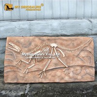 Panneau de décoration muséale pour enfants MY Dino : Fossile de dinosaure Velociraptor
