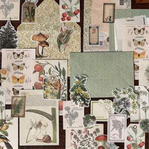 68 autocollants décoratifs vintage à motifs nature, plantes et fleurs, pour <span class=keywords><strong>scrapbooking</strong></span>, journal intime, junk journal, collage et étiquettes DIY - Product Image 2