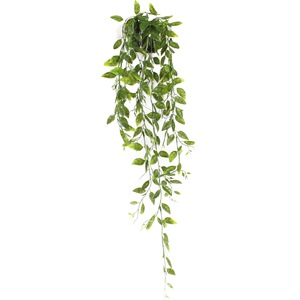 Conjunto <span class=keywords><strong>de</strong></span> Plantas Artificiales Colgantes con Eucalipto y Decoración <span class=keywords><strong>de</strong></span> Bonsái para Uso en Interiores, Pothos Artificial - Product Image 5