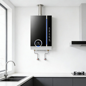 Chauffe-eau sans réservoir en acier inoxydable à gaz naturel à bas <span class=keywords><strong>prix</strong></span>, alimentation en eau chaude à température constante pour toute la <span class=keywords><strong>maison</strong></span> - Product Image 1