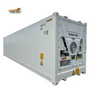 40ft Refrigerated Chiller And Freezer 40 Feet Thermo King Reefer Storage Cold Room Container