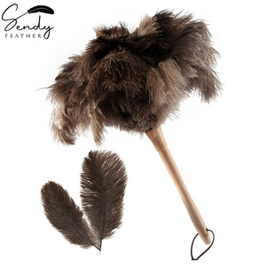 Dụng Cụ Lau Bụi Lông Đà Điểu, Dụng Cụ Lau Bụi Lông Vũ Lông Đà Điểu Lông Mịn Tự Nhiên Chính Hãng Có Tay Cầm Bằng Gỗ Để Làm Sạch Nhà Cửa Và Xe Hơi - Product Image 3