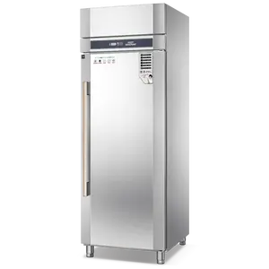 Servizio One-stop design personalizzato congelatore commerciale refrigeratore frigorifero in acciaio inox frigorifero a porta singola per cucina