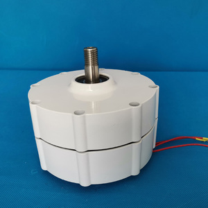 Generador Sincrónico de Imán Permanente Trifásico sin Engranajes de 600W 12/24/48V para Turbina Eólica - Product Image 5