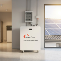 Batterie solaire Fortune Power 48V/51.2V 200Ah LiFePO4 5KWh-16KWh 8000 cycles Garantie 10 ans Hors réseau/Hybride Empilable