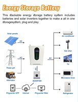 Batterie solaire au lithium silencieuse 5 kWh 100 Ah 51,2 V avec moniteur Bluetooth, LiFePO4 48 V 100 Ah pour la sauvegarde en cas de panne de courant