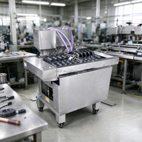 Machine à Cuire Automatique en Acier Inoxydable pour Taiyaki et Manju, Idéale pour la Transformation Alimentaire à Petite Échelle