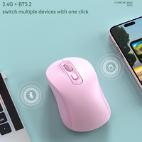 Mouse Nirkabel BT Dual Mode Isi Ulang Grosir, Ergonomis, Senyap, Warna Pink untuk Wanita, DPI 1000/1600/2400