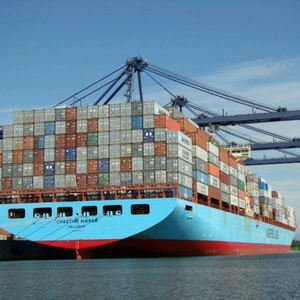 Spedizione Economica con Consegna DDP, Trasporto Marittimo dalla Cina agli USA, Servizio di Spedizione dalla Cina agli USA - Product Image 5