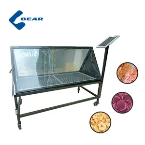 Home Use Energy Vegetable and Fruit Vanilla Solar Dryer