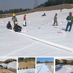 Tissu géotextile non tissé 180 g/m² pour l'agriculture et le jardinage - Product Image 6