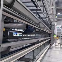 Cages à poules pondeuses à haute efficacité, systèmes d'élevage multi-niveaux automatiques en volière libre pour un meilleur bien-être animal, type H