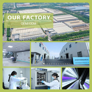 Arena para gatos <span class=keywords><strong>de</strong></span> almidón <span class=keywords><strong>de</strong></span> <span class=keywords><strong>yuca</strong></span> biodegradable Natural 3s grupo duro Anti-seguimiento 0.2% polvo Flushable Control <span class=keywords><strong>de</strong></span> olor adicional OEM - Product Image 5