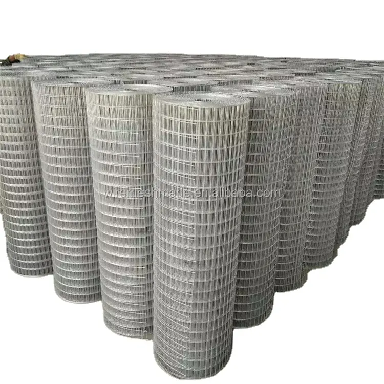 bird cage galvanized wire mesh welded wire mesh 1/2in