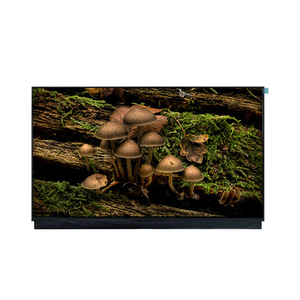 WLED 15K horas con controlador LED DV180FHM-N10 Nueva pantalla LCD original OEM de 18.0 pulgadas 1920RGB*1080 FHD 123PPI - Product Image 1