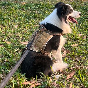 Outdoor LED <b>Dog</b> Harness Camouflage Oxford Cloth Chest Strap With <b>Lights</b> For Walking - Product Image 3