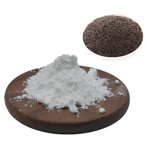 Natural Pure Natural Psyllium Husk Powder Bulk Psyllium Husk Powder Pulveris 98%