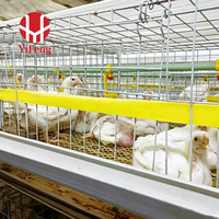 Cage à poulets de chair de type H à 3 niveaux, cage de batterie automatique pour poulets de chair, plancher en plastique, abreuvoir à tétine, convoyeur à fumier, acier galvanisé