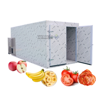 Séchoir à fruits en maille pour abricots, pommes, tomates – Machine de séchage automatique pour fruits et légumes – Déshydrateur