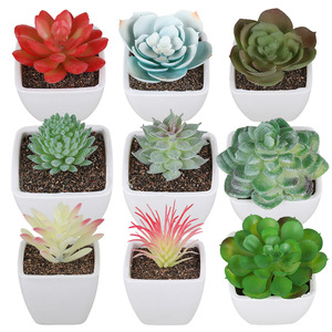 人気オフィス人工鉢植え装飾プラスチックミニ人工多肉植物盆栽卸売 - Product Image 4