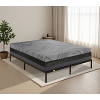 [US-Lagerbestand] Kostenloser Versand 14 Zoll. Gel-Memory-Foam-Matratze Plüsch-Oberseite Memory-Foam-Schicht Bett 3 Größen Inländischer US-Versand MOQ 1 Einheit