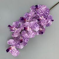 Bunga Anggrek Phalaenopsis Vanda Buatan, Bunga Sutra Imitasi dengan Batang untuk Dekorasi Rumah, Pernikahan, dan Rangkaian Bunga