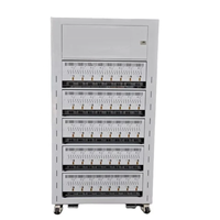 Machine d'équilibre de batterie d'essai de décharge de Charge de batterie d'ion de lithium de voiture de 5V 50A Lifepo4