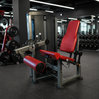 Machine d'extension des jambes de haute qualité pour salle de sport, à charge libre, pour usage commercial