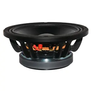 Produsen grosir pabrik Guangzhou OEM/ODM pengeras suara Subwoofer Audio profesional 10 inci WL1016