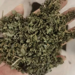 Thé aux feuilles <span class=keywords><strong>d</strong></span>'ortie séchées naturelles, emballage OEM, coupées et tamisées, thé aux herbes aux feuilles <span class=keywords><strong>d</strong></span>'ortie séchées, marque privée, feuilles <span class=keywords><strong>d</strong></span>'ortie <span class=keywords><strong>piquantes</strong></span> séchées - Product Image 3